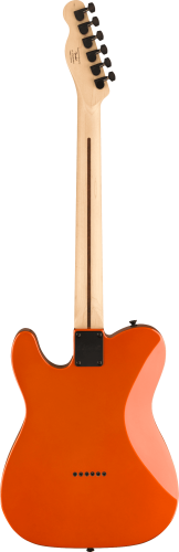 FENDER SQUIER Affinity Telecaster HH LRL MOR фото 2