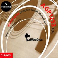 GALLI STRINGS AGP1253